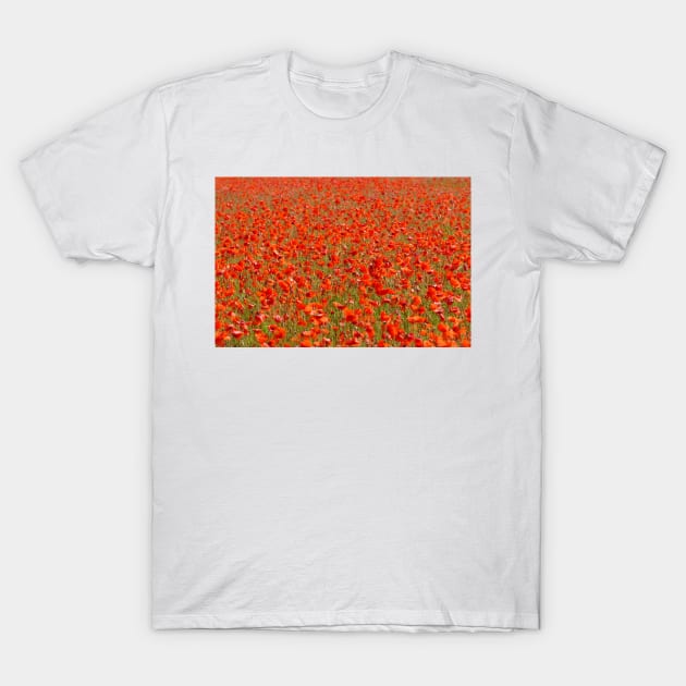 Poppy field T-Shirt by Chris Petty